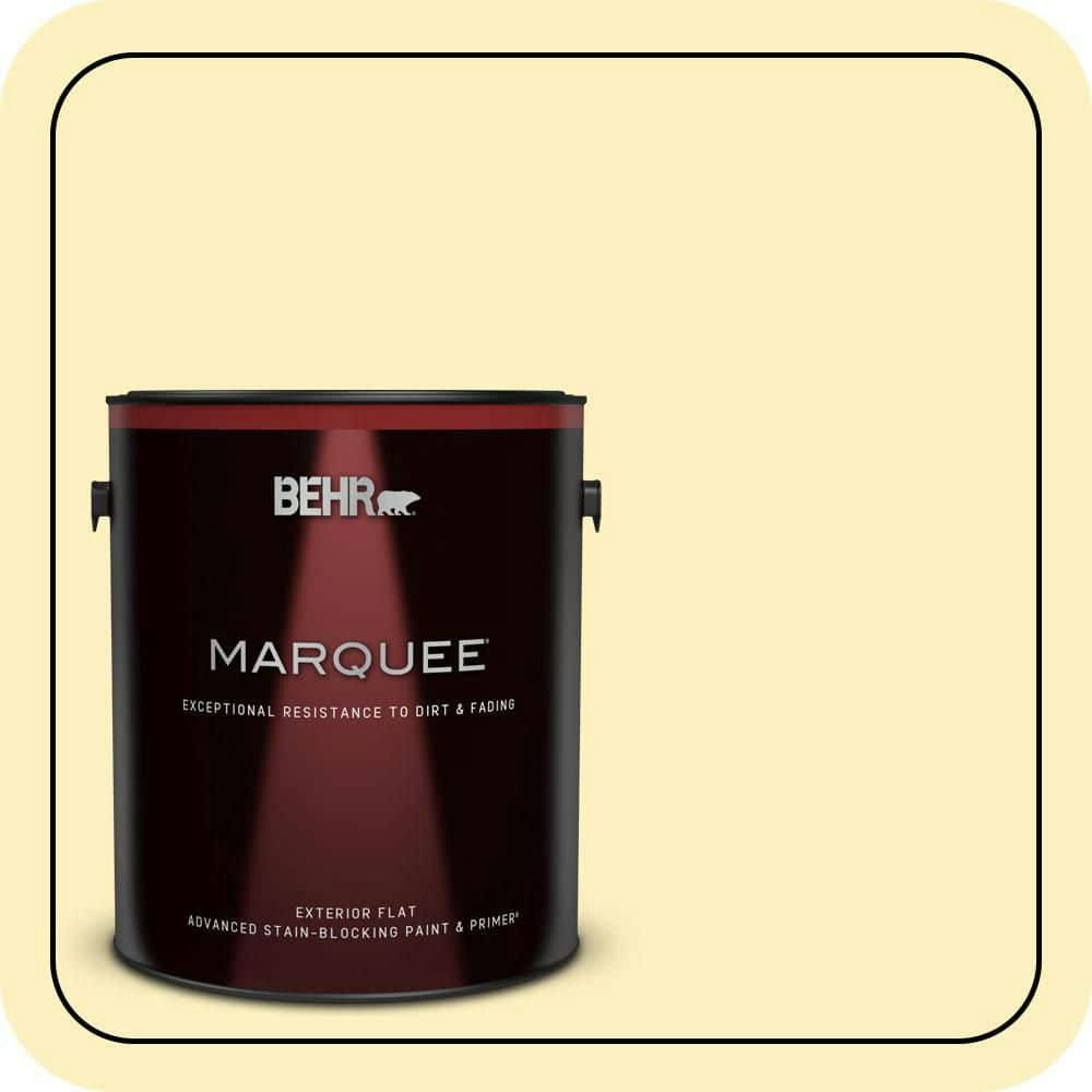 Behr Meringue Flat Exterior Paint & Primer 1-Gallon: $67.98 Behr Meringue Flat Exterior Paint & Primer 1-Gallon: $67.98