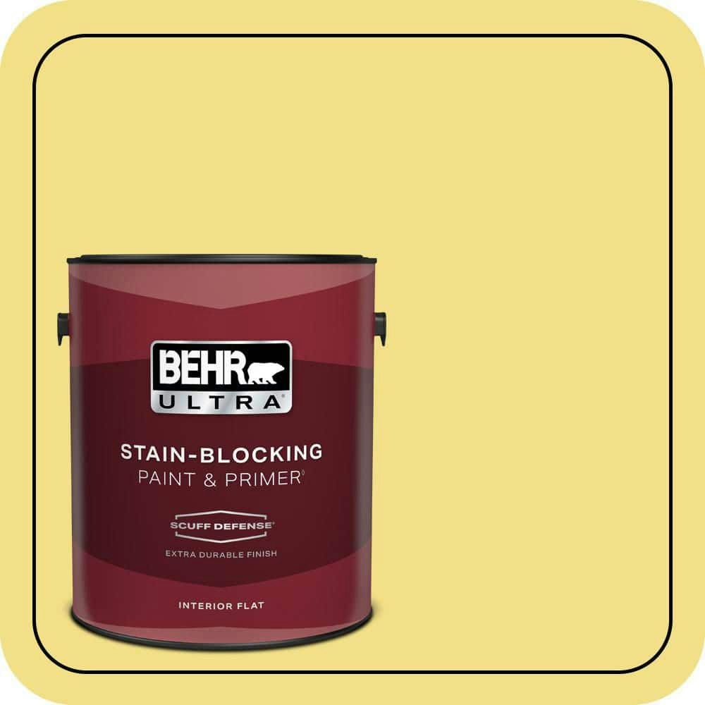 Home Decorators Collection Lemon Curd Flat Interior Paint and Primer 1-Gallon: $43.98 Home Decorators Collection Lemon Curd Flat Interior Paint and Primer 1-Gallon: $43.98