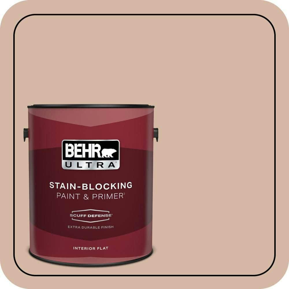 Sedona Pink Flat Interior Paint and Primer 1-Gallon: $43.98 Sedona Pink Flat Interior Paint and Primer 1-Gallon: $43.98