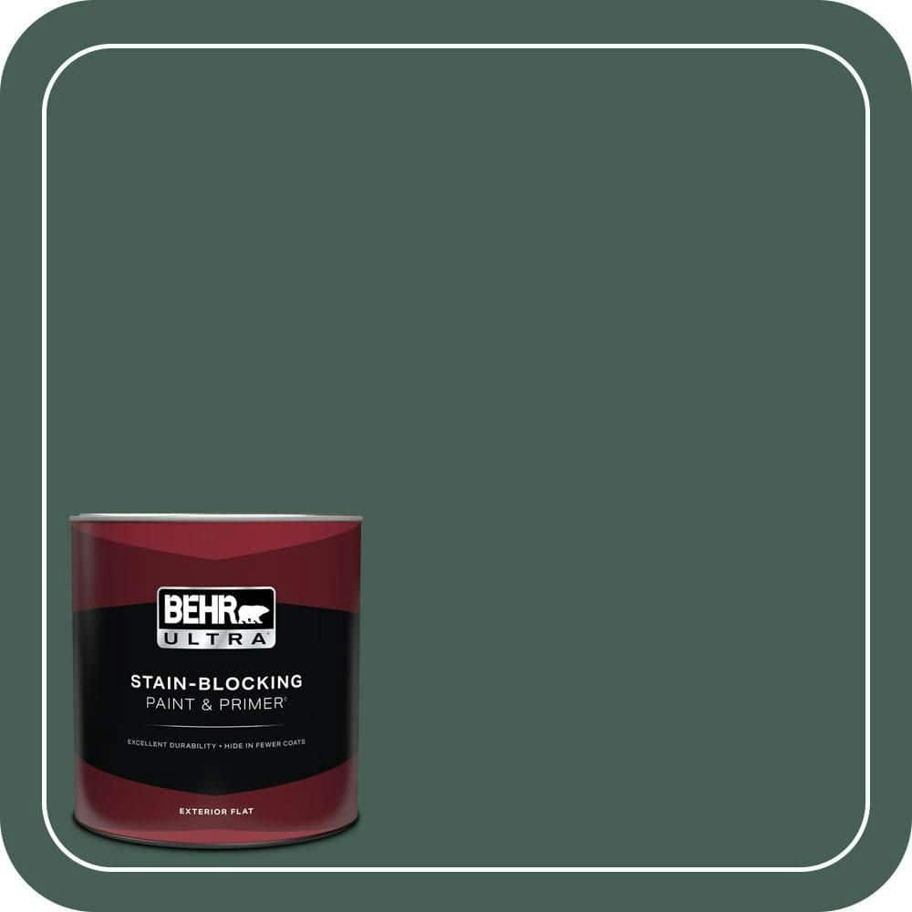Behr Rainforest Flat Exterior Paint and Primer 1-Quart: $28.98 Behr Rainforest Flat Exterior Paint and Primer 1-Quart: $28.98