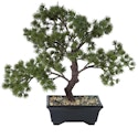 Vickerman 12" Artificial Potted Pine Bonsai Tree for $15 + free shipping w/ Prime