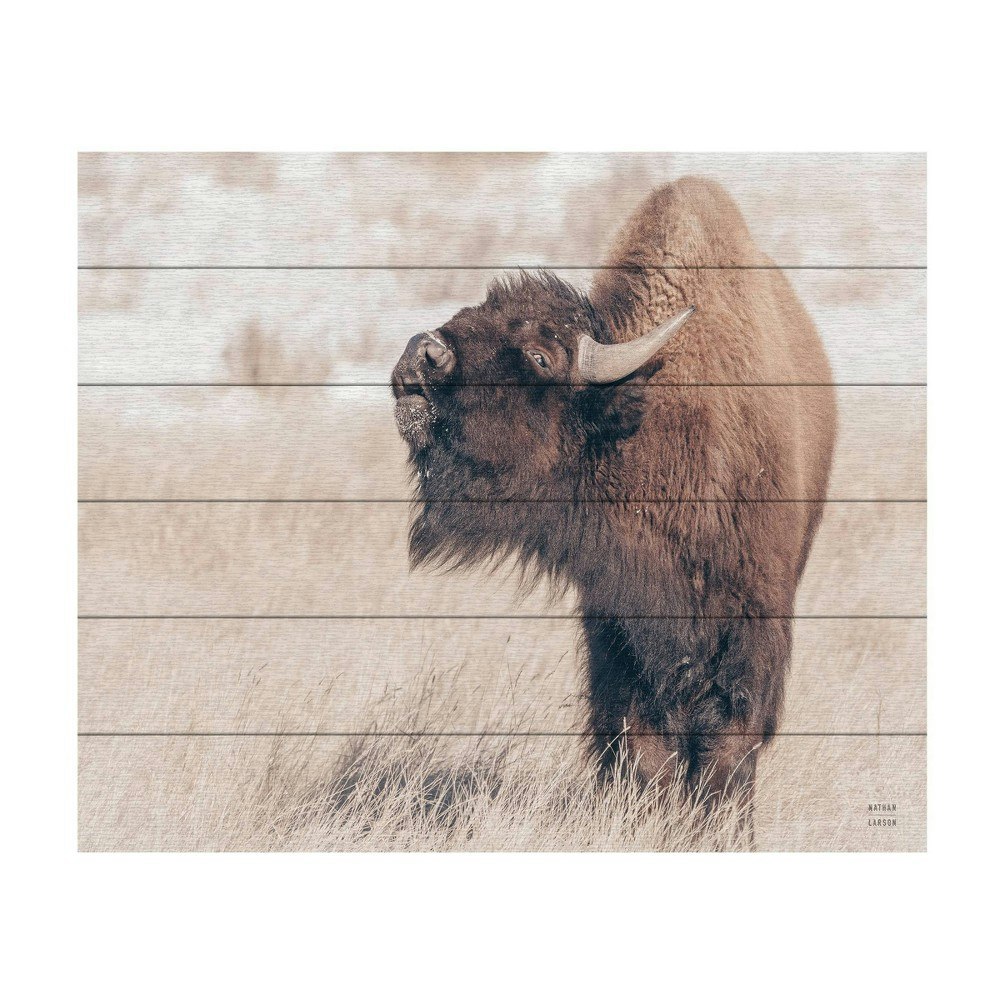 Trademark Fine Art 18"x22" Nathan Larson Bison Call Wood Slat Art: $49.99 Trademark Fine Art 18"x22" Nathan Larson Bison Call Wood Slat Art: $49.99