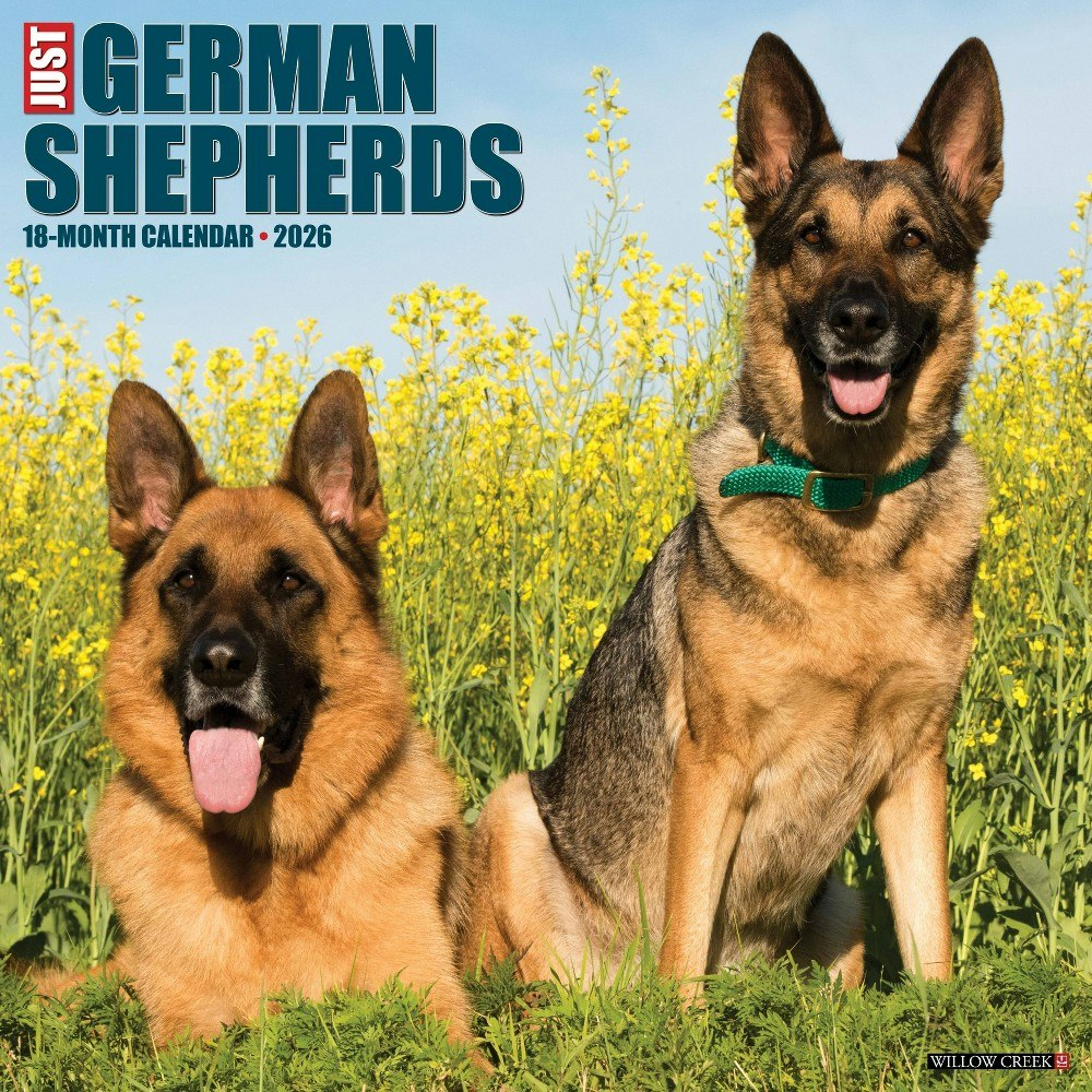 Willow Creek Press 2026 German Shepherds Wall Calendar: $16.99