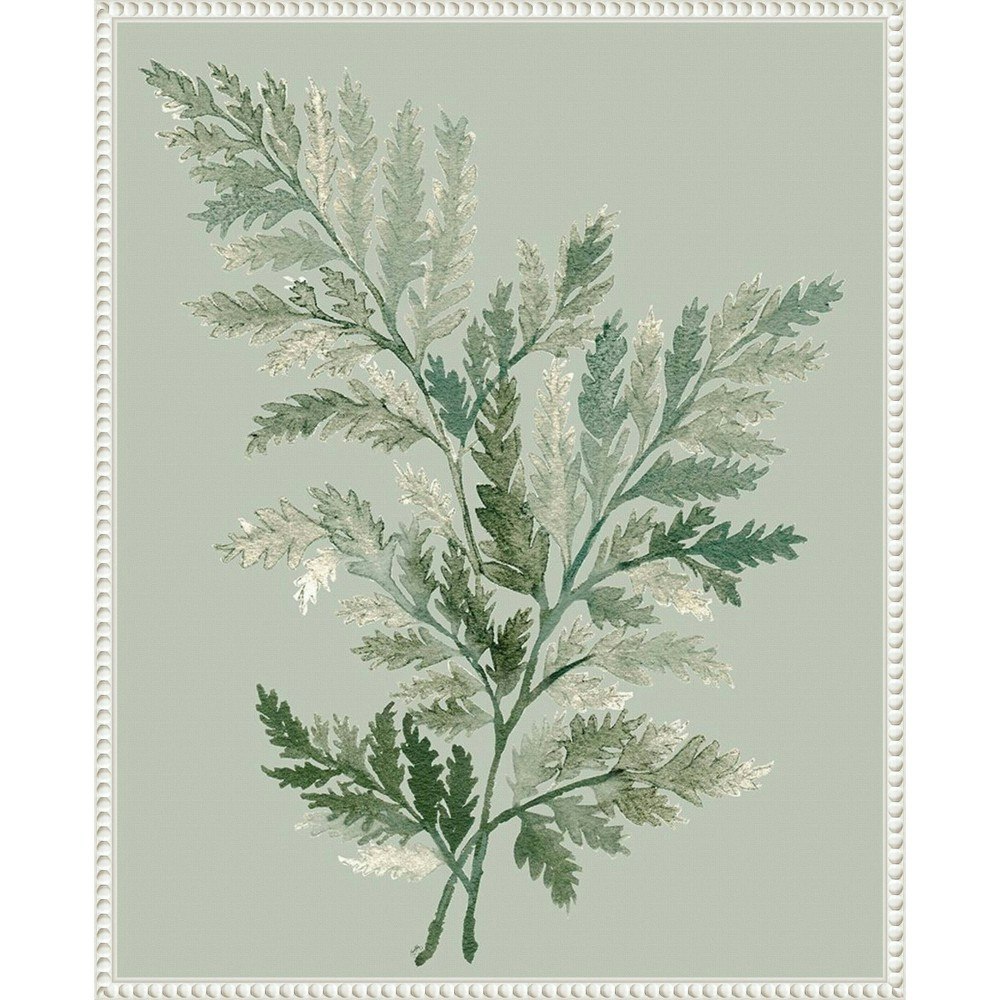 Amanti Art 23"x28" Tonal Green Ferns I Framed Canvas Wall Art: $100.99 Amanti Art 23"x28" Tonal Green Ferns I Framed Canvas Wall Art: $100.99