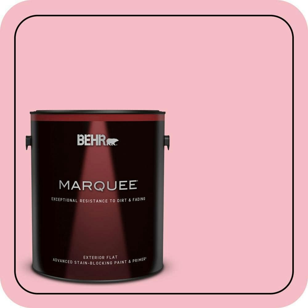 Pink Punch Flat Exterior Paint and Primer 1-Gallon: $67.98 Pink Punch Flat Exterior Paint and Primer 1-Gallon: $67.98