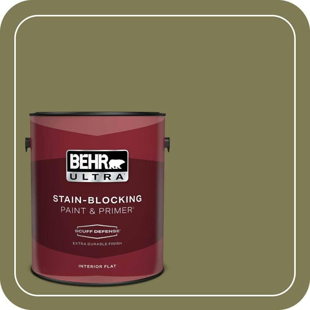 Home Decorators Collection Meadowland 1-Gallon Flat Interior Paint and Primer: $43.98 Home Decorators Collection Meadowland 1-Gallon Flat Interior Paint and Primer: $43.98