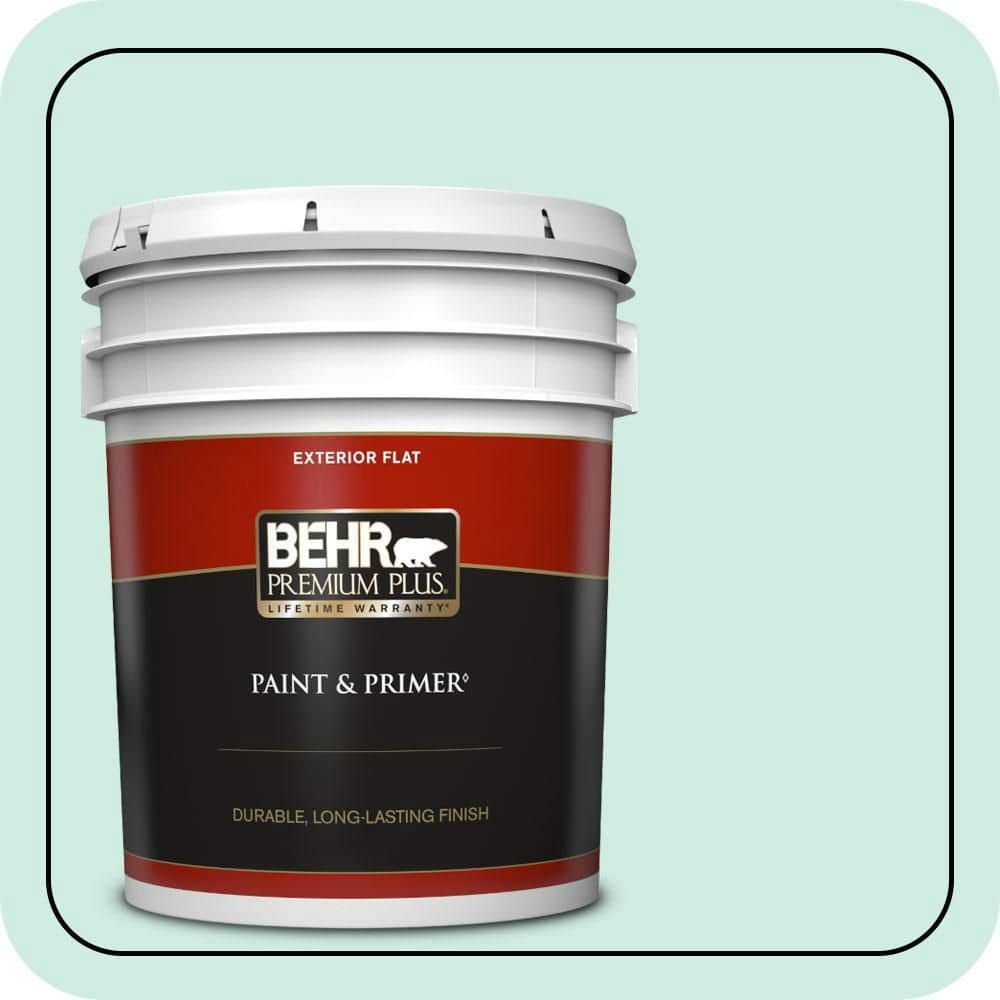 Home Decorators Collection 5-Gallon Soft Mint Flat Exterior Paint & Primer: $215 Home Decorators Collection 5-Gallon Soft Mint Flat Exterior Paint & Primer: $215