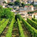 12-Night France Flight, Hotel, and Tour Vacation for From $2,699 per person