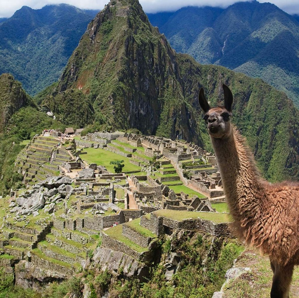 8-Night Peru Flight, Hotel, and Tour Vacation: From $1,599 per person