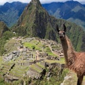 8-Night Peru Flight, Hotel, and Tour Vacation for From $1,599 per person