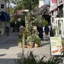 Só Irish Shopping Experience at Kildare Village: Up to 70% off
