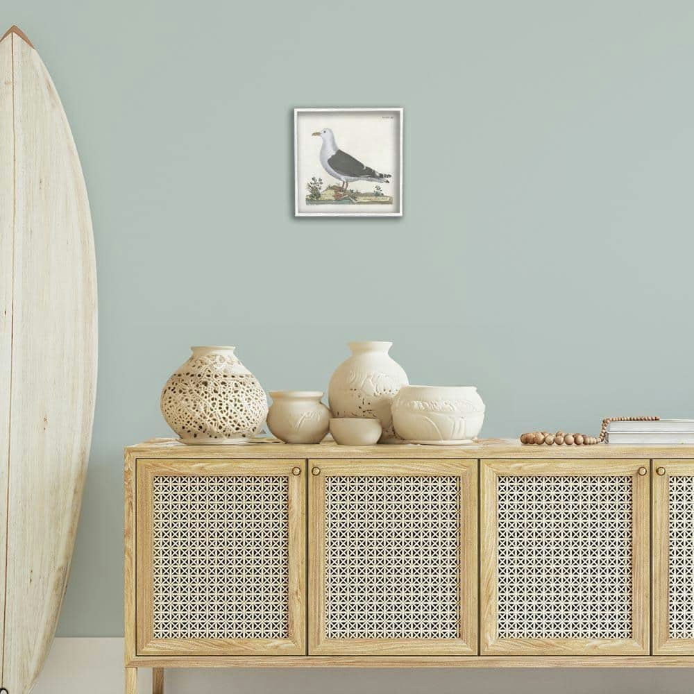 Phillipa Katz Vintage Seagull Study Giclee Art Print 12" x 12": $34.73 Phillipa Katz Vintage Seagull Study Giclee Art Print 12" x 12": $34.73