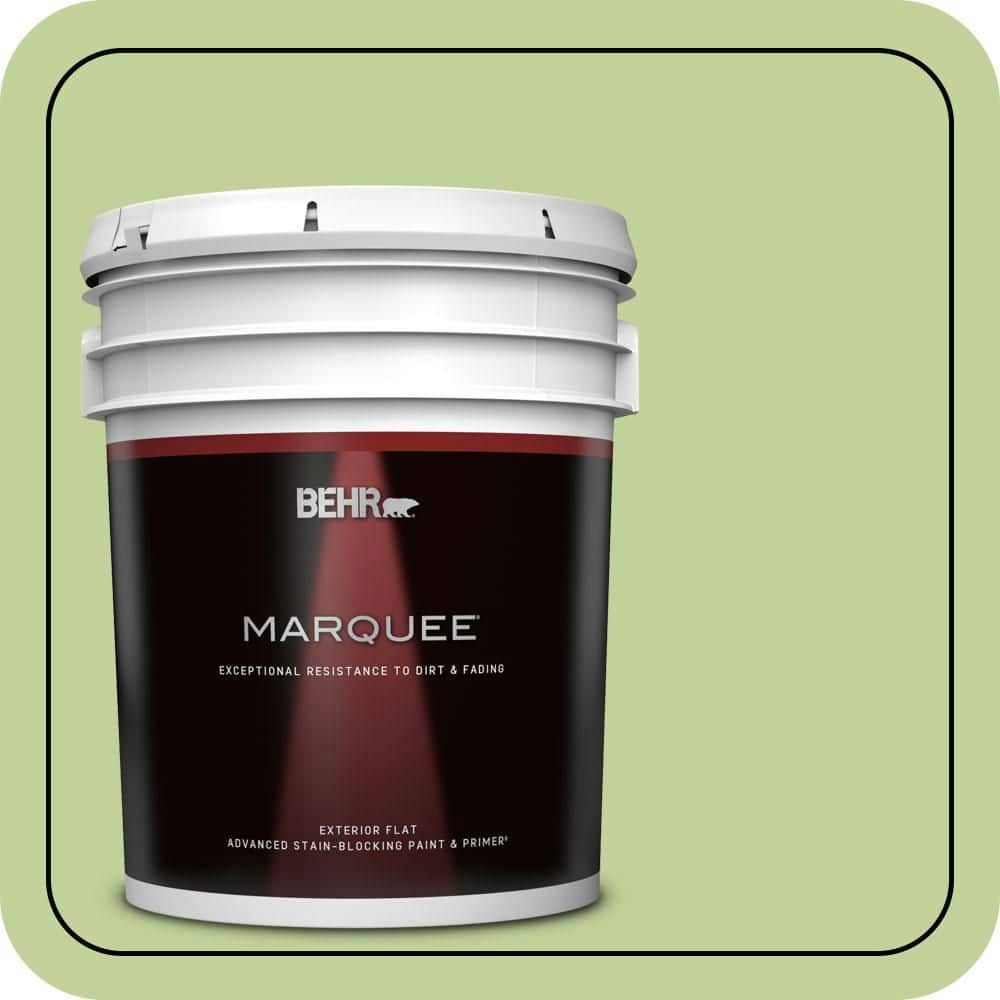 Behr Premium Plus Cricket Field Flat Exterior Paint & Primer 5-Gallon: $315 Behr Premium Plus Cricket Field Flat Exterior Paint & Primer 5-Gallon: $315