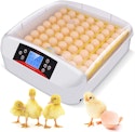 Automatic 56-Egg Incubator for $35 + $36.78 shipping