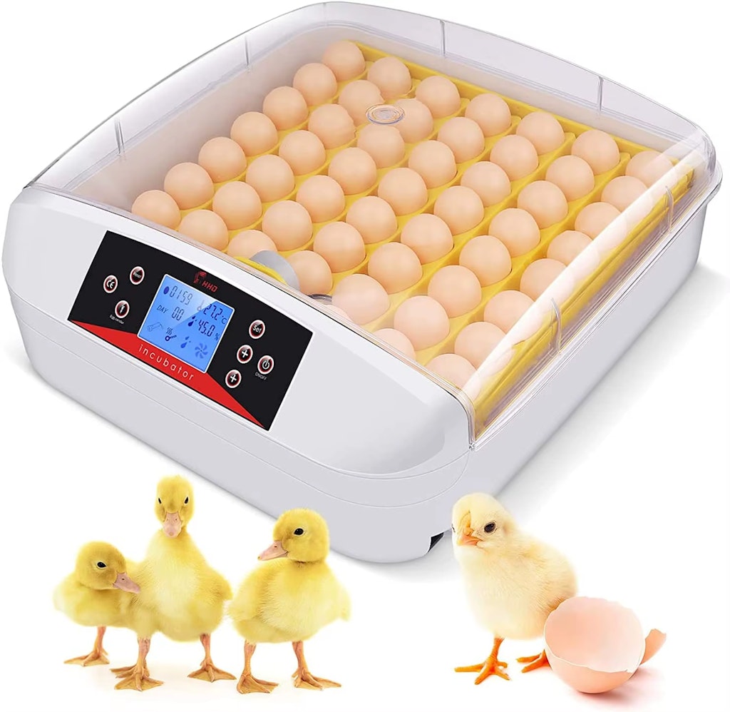 Automatic 56-Egg Incubator : $35