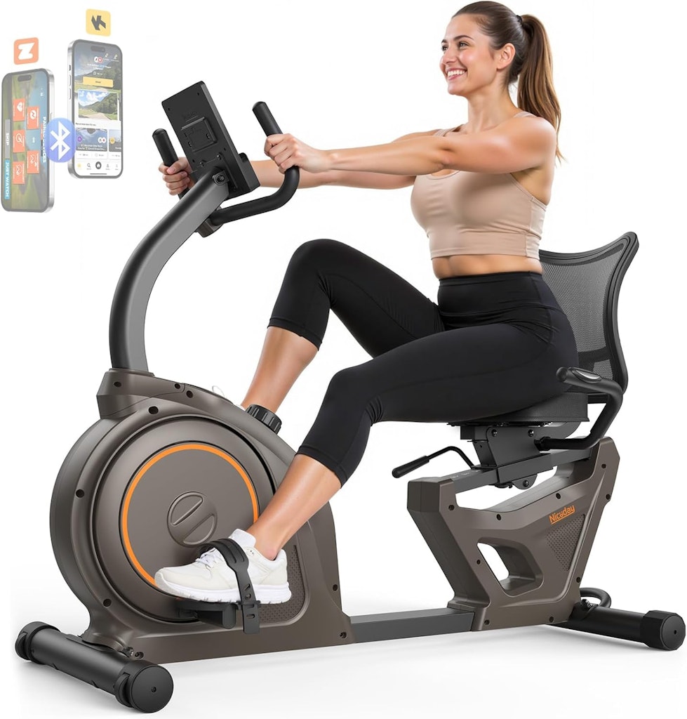 Niceday Recumbent Exercise Bike: $305.97