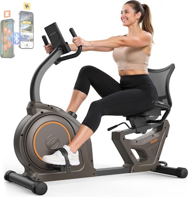 Niceday Recumbent Exercise Bike for $306 + free shipping