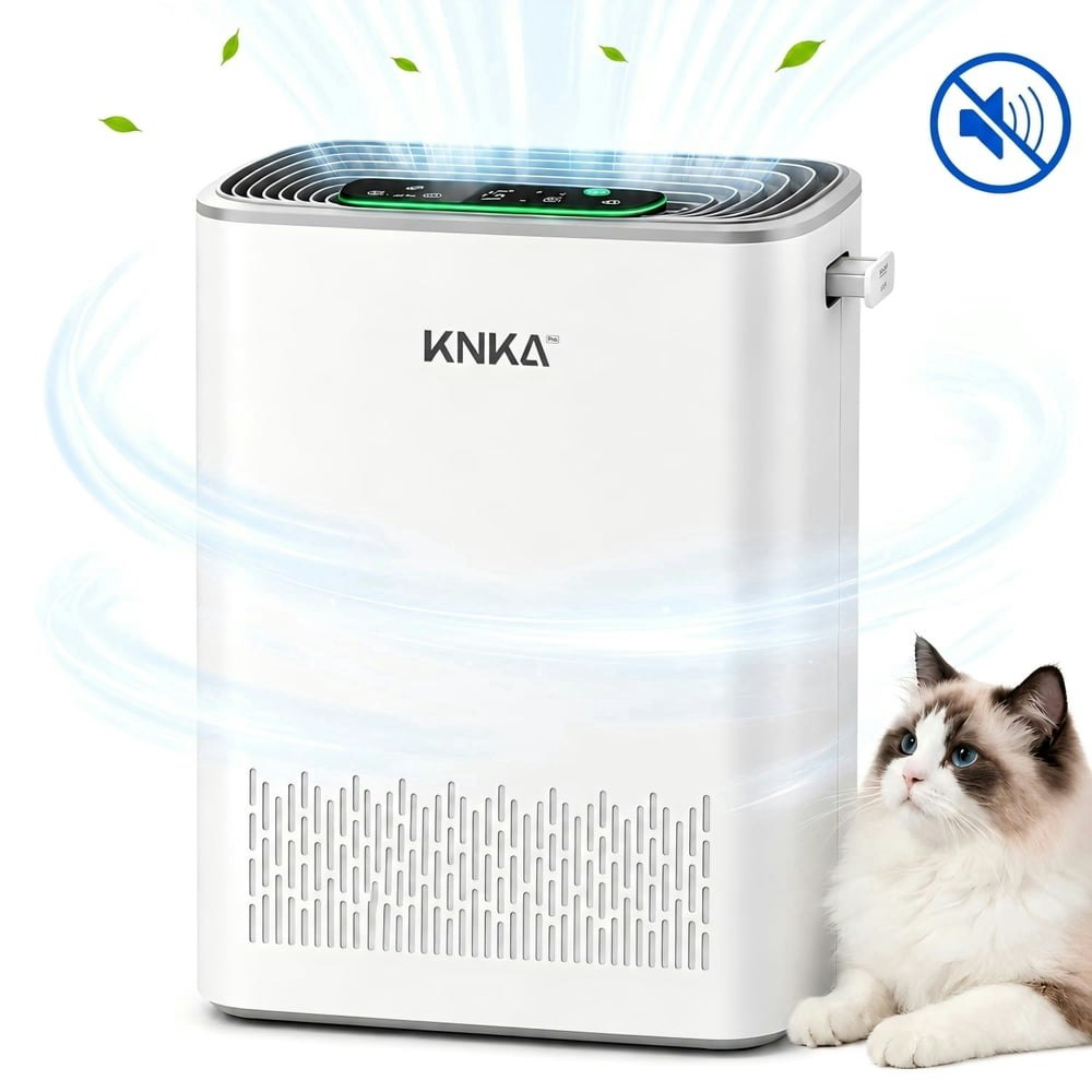 H13 HEPA Air Purifier for Large Rooms: $49.99 H13 HEPA Air Purifier for Large Rooms: $49.99