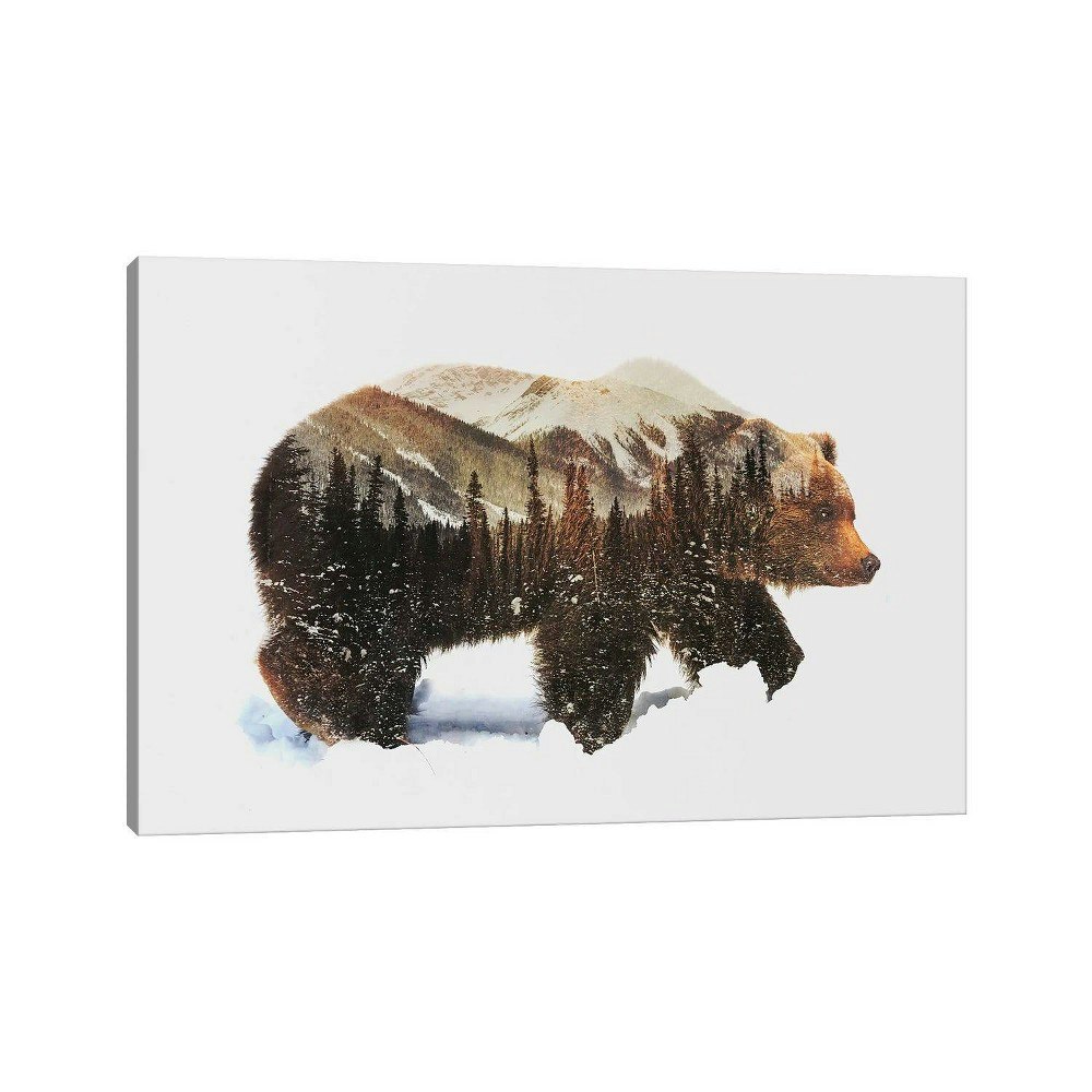 Arctic Grizzly Bear by Andreas Lie 32" x 48" Canvas Art: $201.99 Arctic Grizzly Bear by Andreas Lie 32" x 48" Canvas Art: $201.99