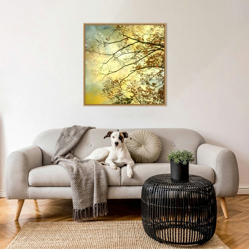 Amanti Art Storm Clouds II 30"x30" Framed Canvas Wall Art: $140.99 Amanti Art Storm Clouds II 30"x30" Framed Canvas Wall Art: $140.99