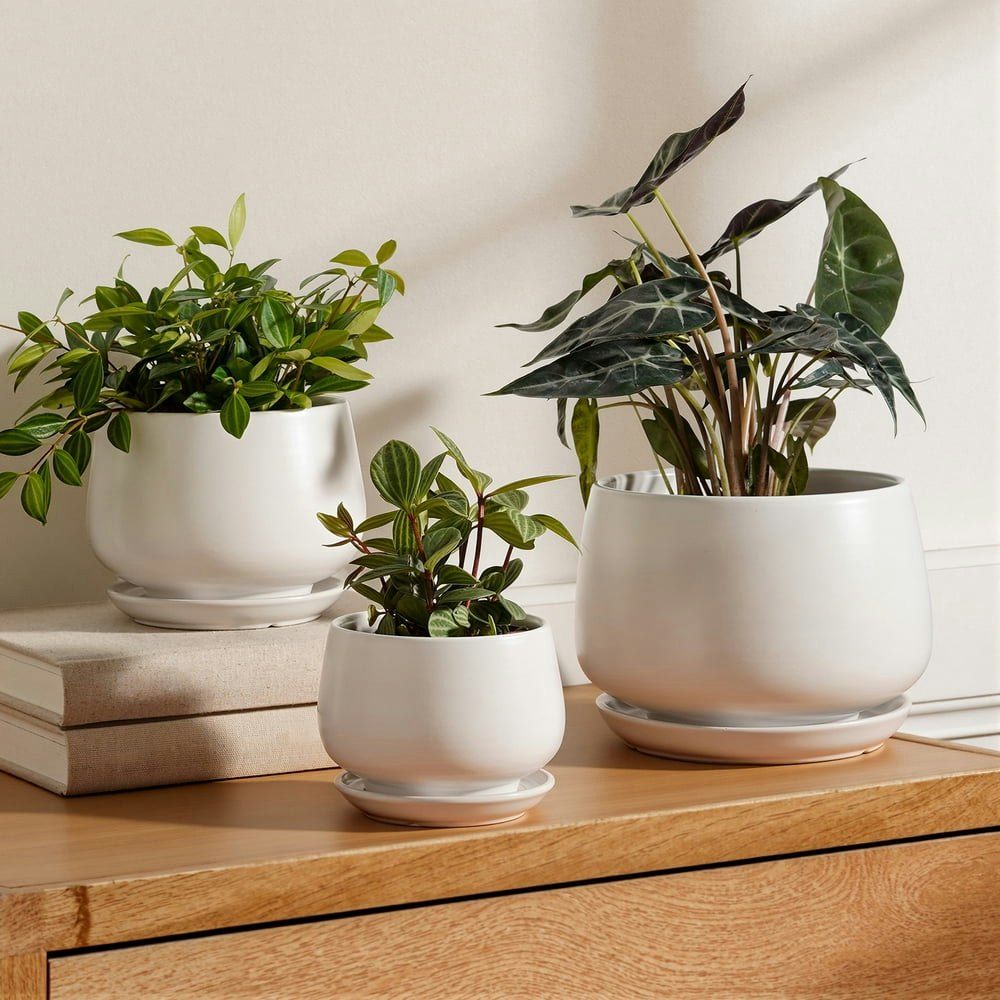 Bemay Ceramic Indoor Plant Pot 3-Pack: $25