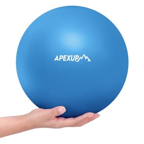 Apexup 9" Pilates Exercise Ball: $6.99