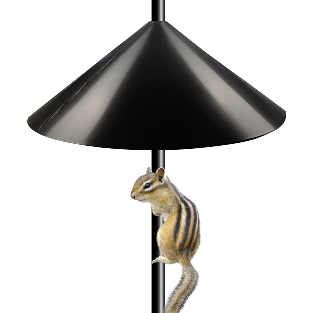 Koralakiri 19-Inch Squirrel Baffle for Bird Feeder Pole: $13.29 Koralakiri 19-Inch Squirrel Baffle for Bird Feeder Pole: $13.29