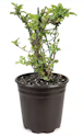 Live Goods Daily Deals at Home Depot: Up to 30% off + free shipping