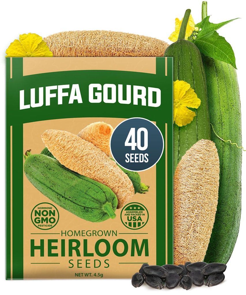 Heirloom Non-GMO Luffa Gourd Seeds 40-Count: $5.00 Heirloom Non-GMO Luffa Gourd Seeds 40-Count: $5.00