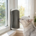 Wall Mounted Self Cleaning Pet Grooming Brush for $1 + free shipping w/ $25