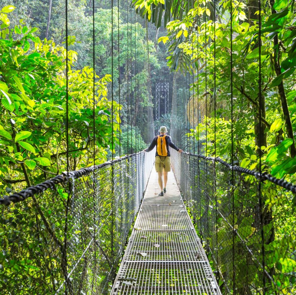 Holland America 21-Night Panama Canal Cruise: From $5,388 for 2