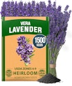1,500+ English Lavender Seeds for $5 + free shipping w/ Prime