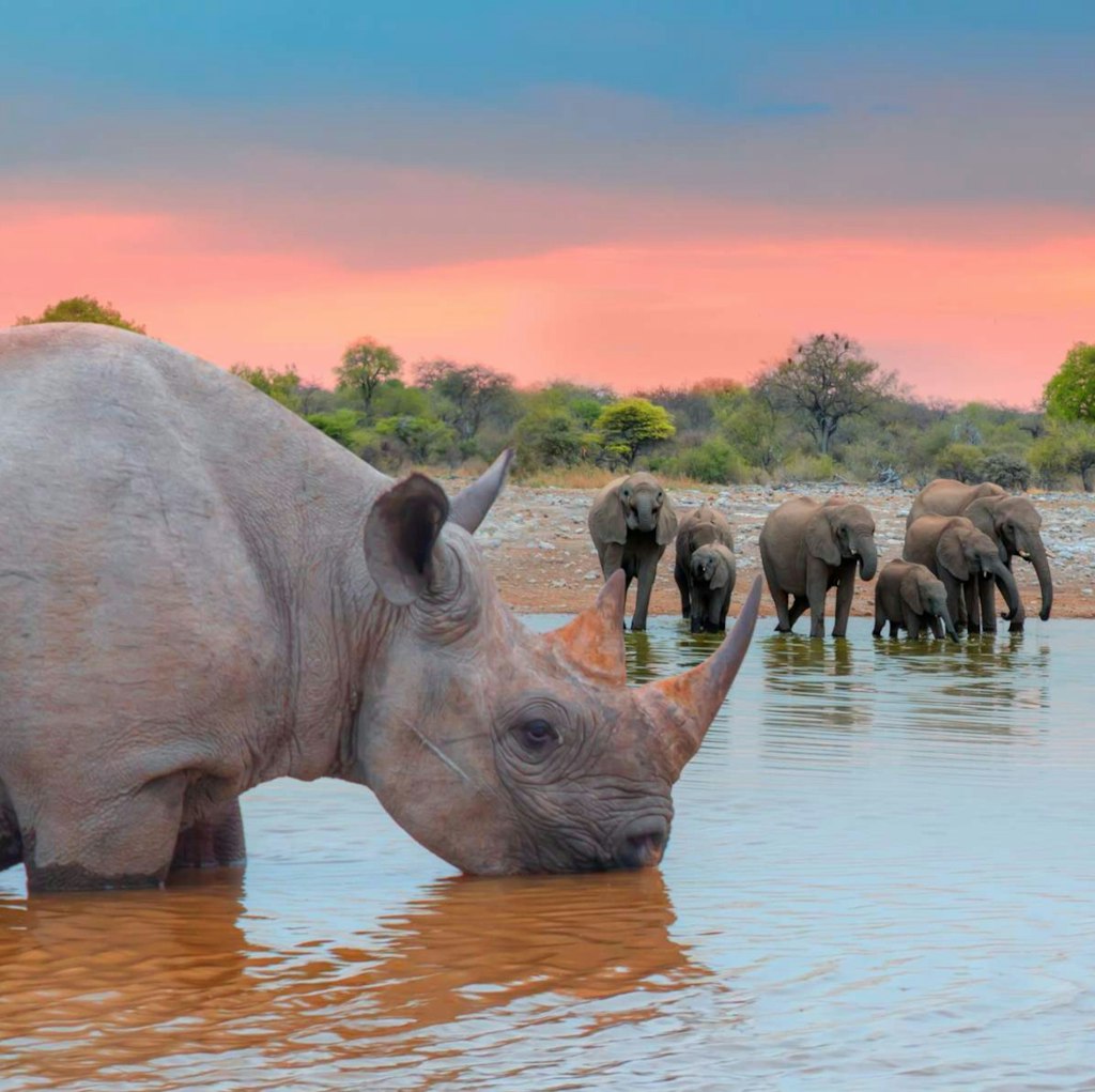 12-Night South Africa Flight, Hotel, and Tour Vacation: From $3,649 per person