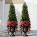 Vitalismo 4-Foot Artificial Cedar Topiary Trees 2-Pack for $45 + free shipping