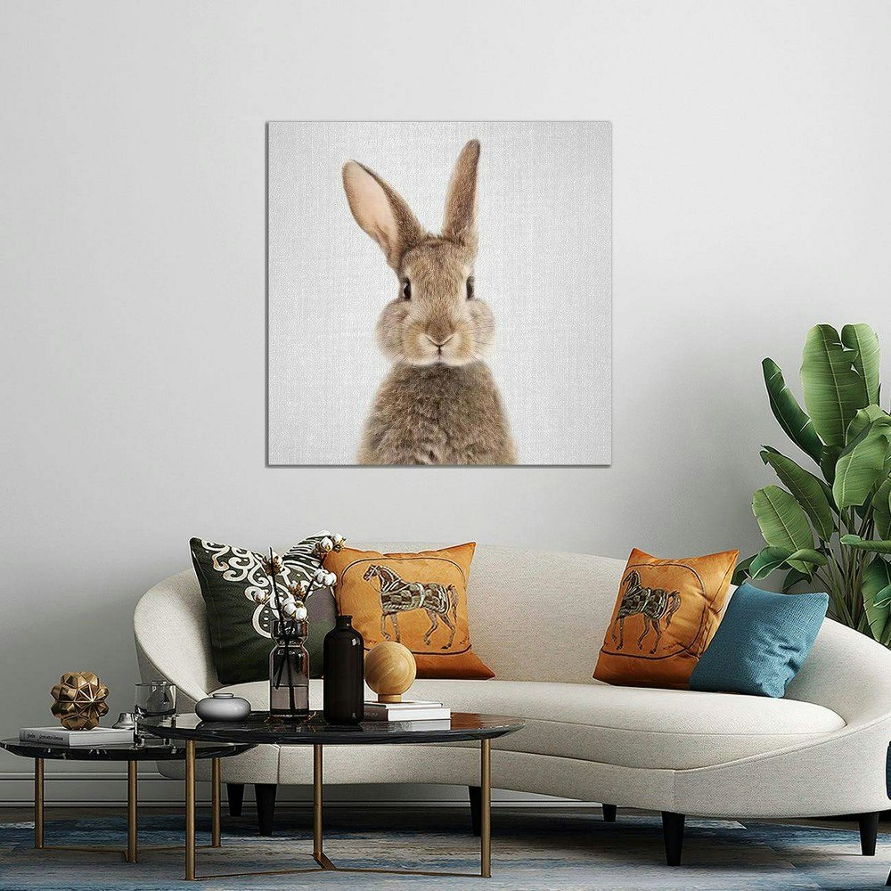 iCanvas Rabbit by Gal Design 37"x37" Canvas Print Wall Art: $154.99 iCanvas Rabbit by Gal Design 37"x37" Canvas Print Wall Art: $154.99