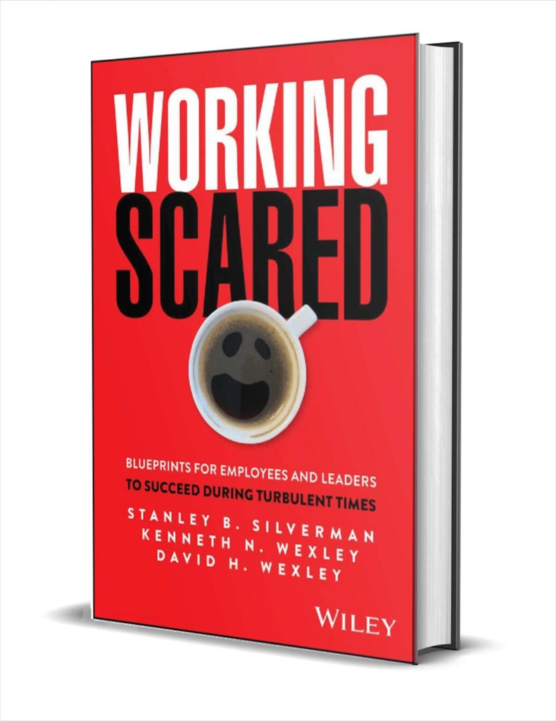 "Working Scared: Blueprints for Employees and Leaders to Succeed During Turbulent Times" eBook : Free 