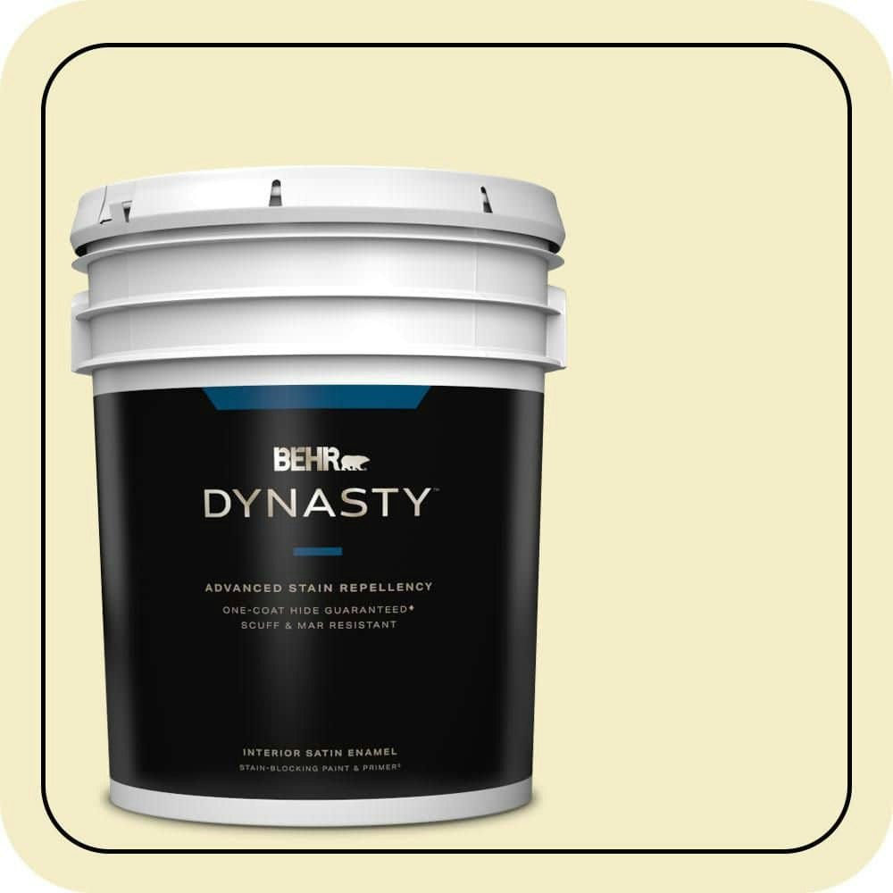 Starbright 5-Gallon Satin Enamel Interior Stain-Blocking Paint and Primer: $317 Starbright 5-Gallon Satin Enamel Interior Stain-Blocking Paint and Primer: $317
