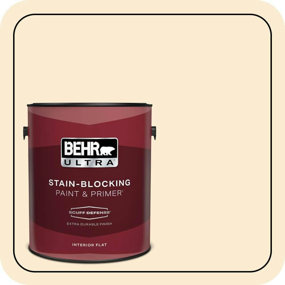 Frosty Melon Flat Interior Paint and Primer 1-Gallon: $43.98 Frosty Melon Flat Interior Paint and Primer 1-Gallon: $43.98
