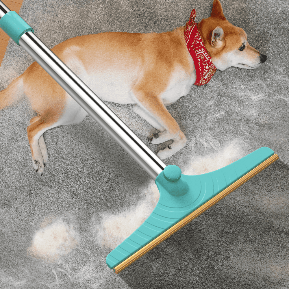 Carpet Rake for Pet Hair Removal: $20.99