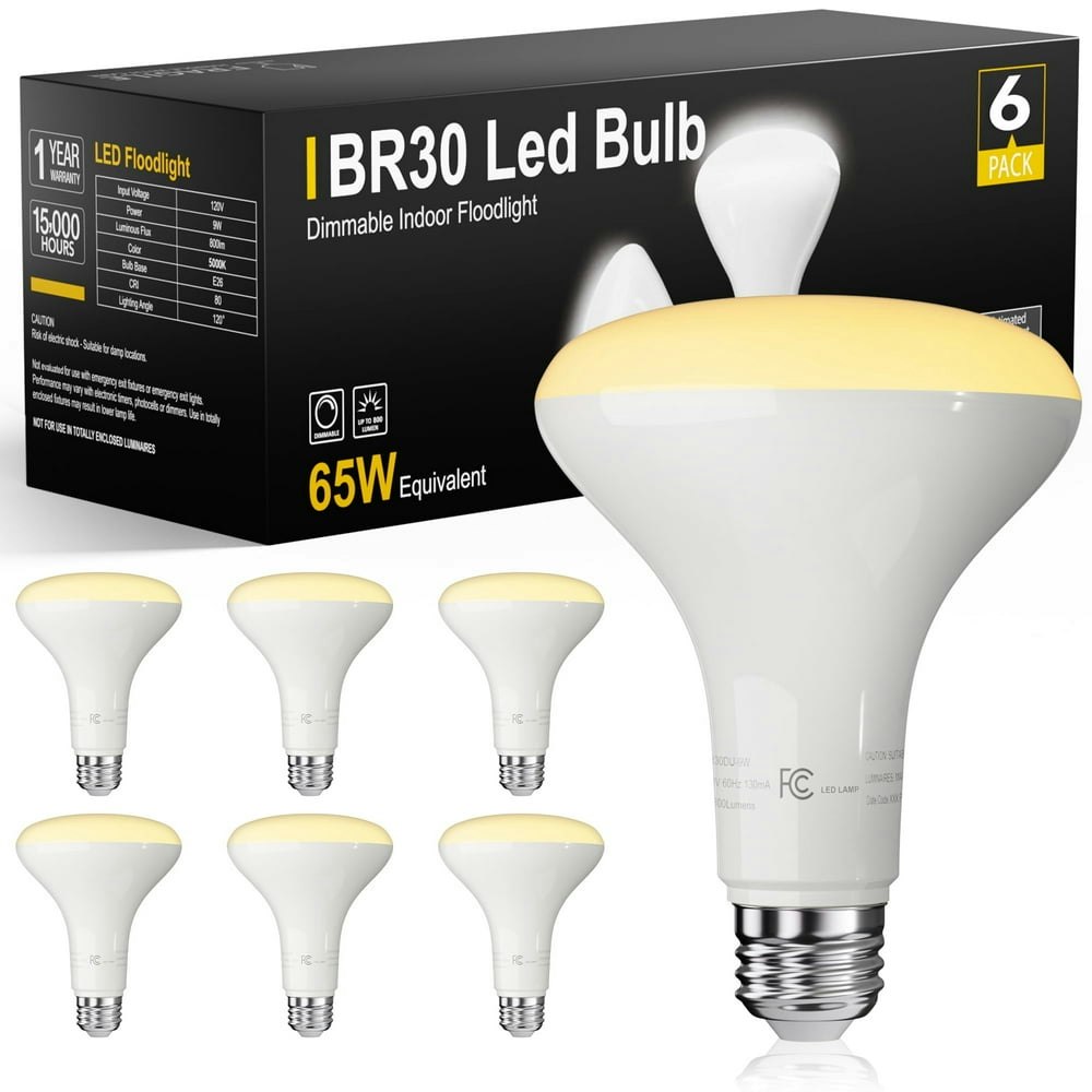 Daybetter BR30 LED Flood Light Bulb 6-Pack: $14.99