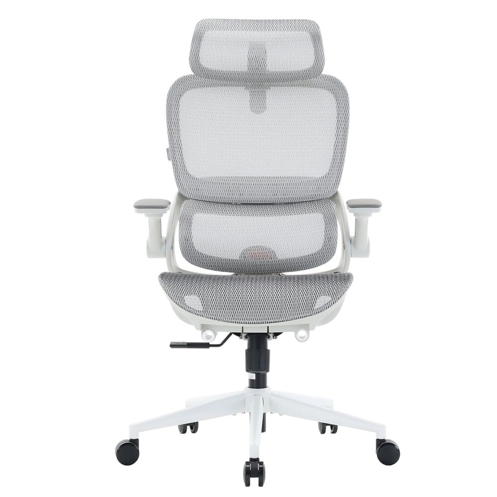 Sihoo B100 Pro Ergonomic Office Chair: $209.99 Sihoo B100 Pro Ergonomic Office Chair: $209.99