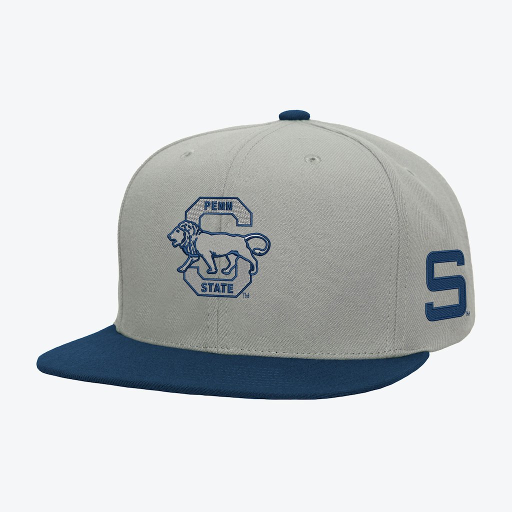 Mitchell & Ness Penn State Nittany Lions Plaid Snapback Hat: $37.99