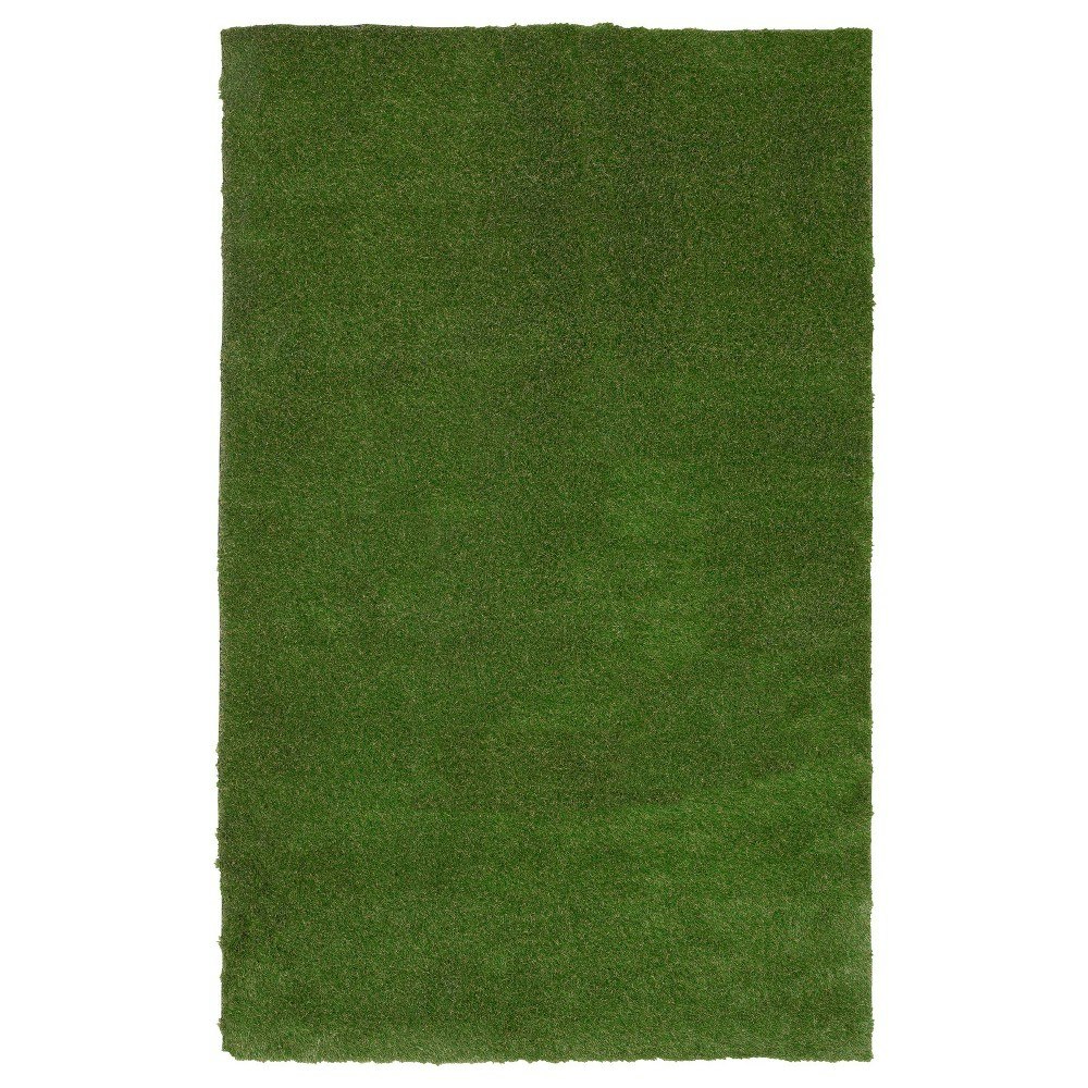 Captiv8e Designs 2'8"x4' Augusta Premium Artificial Turf Area Rug: $31.99 Captiv8e Designs 2'8"x4' Augusta Premium Artificial Turf Area Rug: $31.99