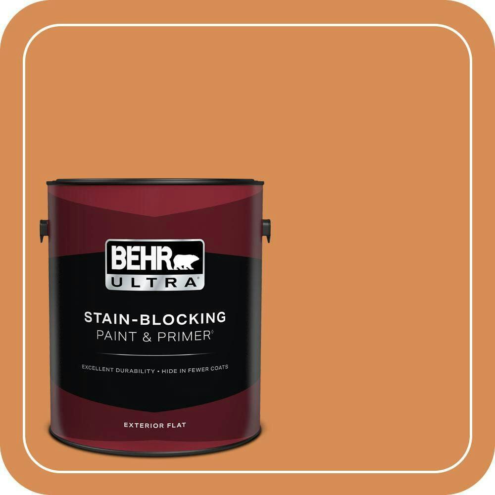 Spiced Pumpkin Flat Exterior Paint & Primer 1-Gallon: $57.98 Spiced Pumpkin Flat Exterior Paint & Primer 1-Gallon: $57.98