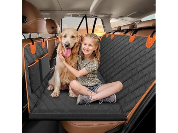 Pet Beds, Crates, Feeders & More at Woot: Up to 54% off + $10 off $50