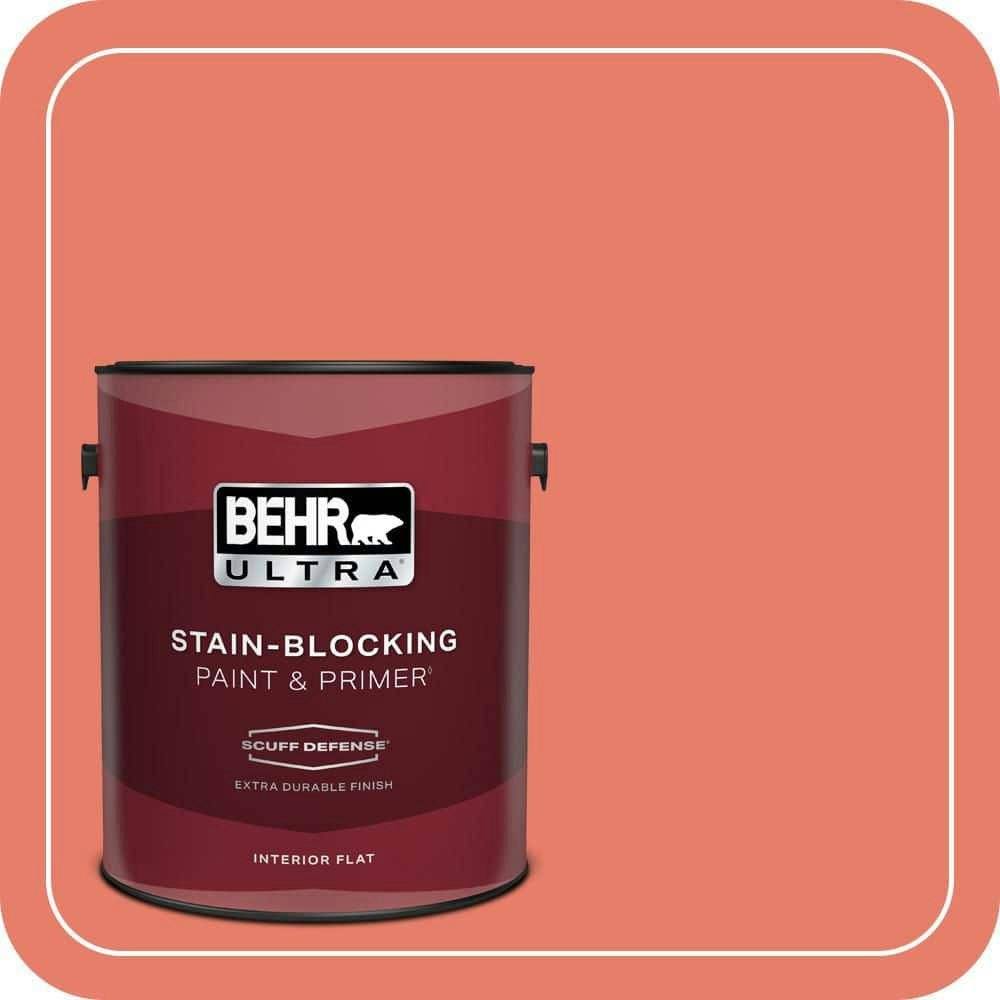 Home Decorators Collection 1-Gallon Cosmic Coral Flat Interior Paint and Primer: $43.98
