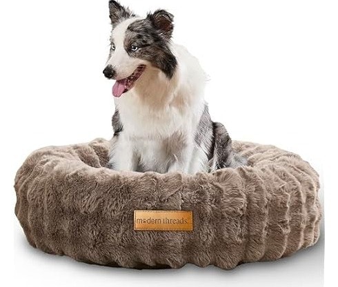 Pet Treasures Sale at Woot: Up to 87% off