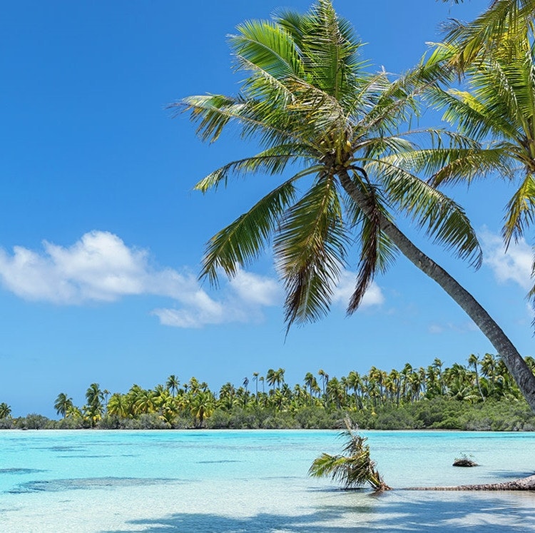 Windstar 11-Night French Polynesia & Marquesas Cruise: From $9,604 for 2