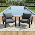 Adreric Patio Armchair 2-Pack for $240 + free shipping