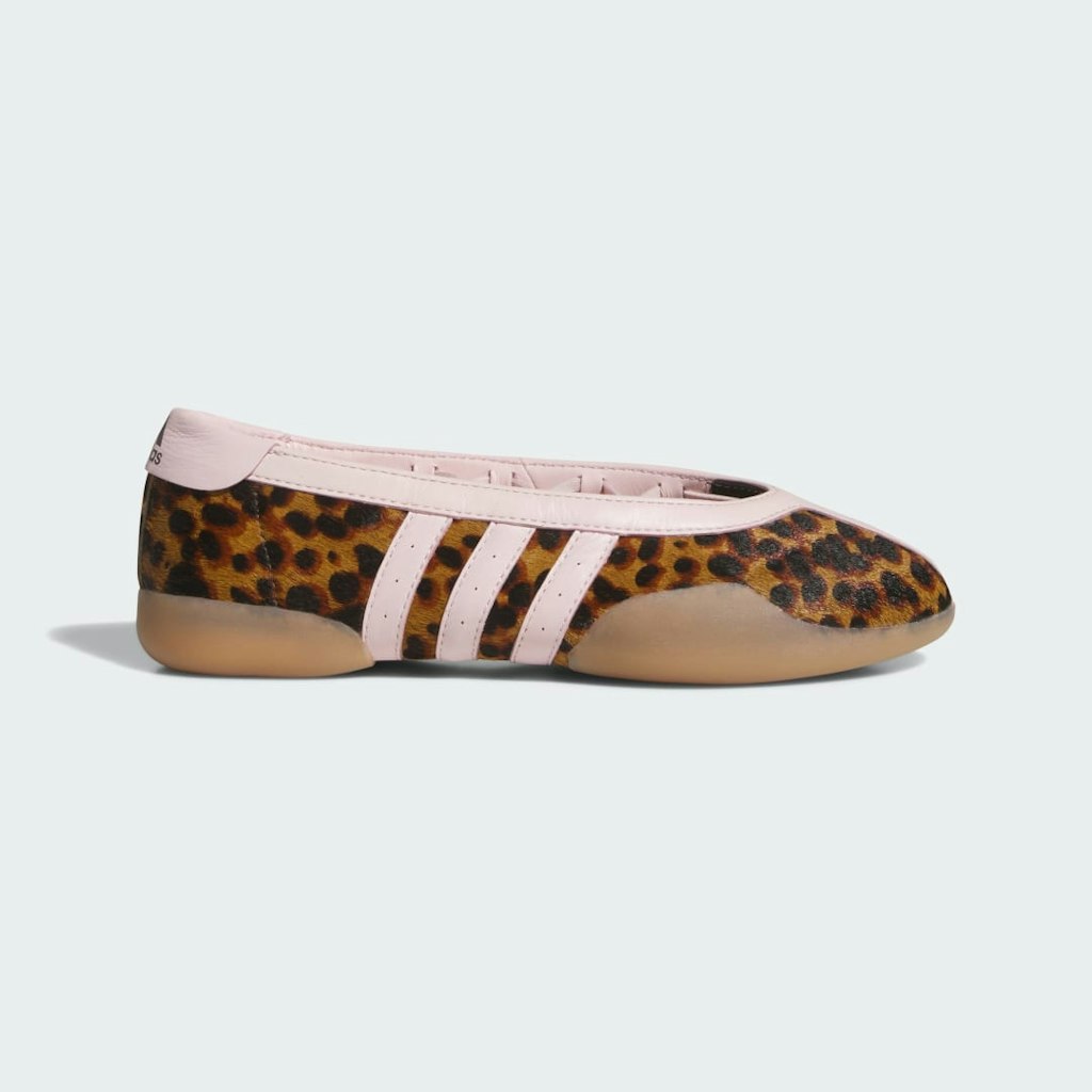 Taekwondo Ballet Shoes: $100 Taekwondo Ballet Shoes: $100